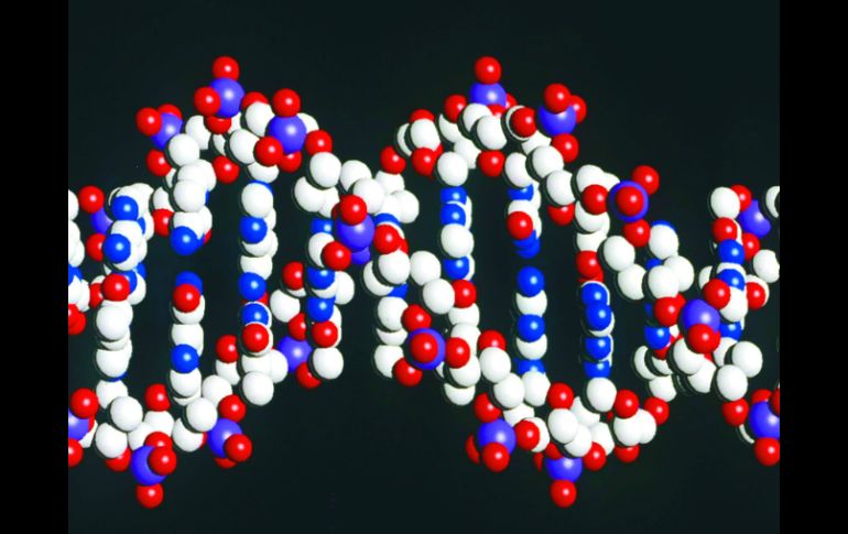 El gen identificado es una mutación que será posible identificarla en ciertas personas. EL INFORMADOR / ARCHIVO