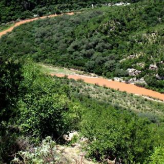 Grupo México entrega estudio de derrame en río Sonora