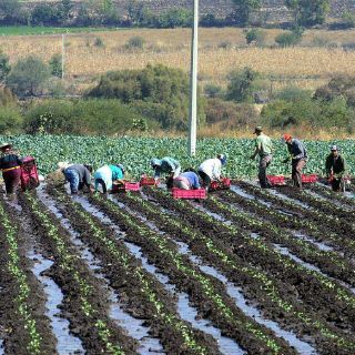 Mostrarán en foro novedades aplicables a la agroindustria