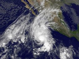 Foto satelital que muestra los desprendimientos nubosos sobre el Pacífico mexicano ocasionados por ''Vance''. AFP /