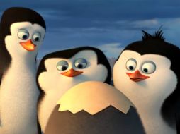 En la película podremos ver el momento en el que Skipper, Rico y Kowalsky ven nacer a Cabo. YOUTUBE / DreamWorks Animation International