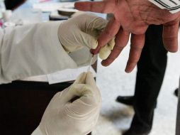 El equipo comprobó que el páncreas y los riñones contienen cantidades de KIF12. Sustancia encargada de crear insulina. EL INFORMADOR / ARCHIVO