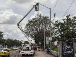 En Guadalajara hay 32 mil luminarias en una situación regular y otras 24 mil están deterioradas. EL INFORMADOR / A. Hernández