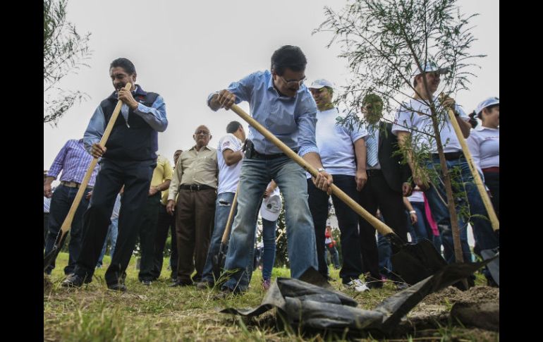 Esta mañana, el comité encabezó una jornada de reforestación con 500 árboles en el Parque Ávila Camacho. EL INFORMADOR / F. Atilano