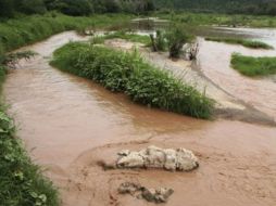 A tres días de levantarse la contingencia por contaminación, los pobladores continúan sin recibir la respuesta del gobierno. AP / ARCHIVO
