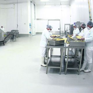 Mejor logística exige evolución tecnológica