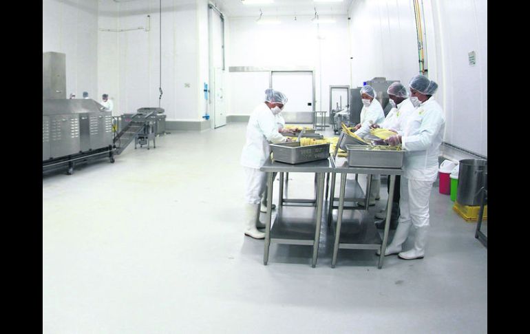 Con cuidado. Los perecederos requieren de las cadenas de frío, pues son susceptibles a los cambios de temperatura. EL INFORMADOR / A. Hernández