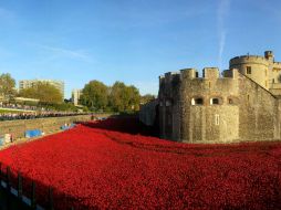 'La sangre arrasó tierras y mares', es el título de la obra del artista Paul Cummins. AFP / L. Neal