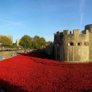 Instalación de amapolas atrae a millones a la Torre de Londres