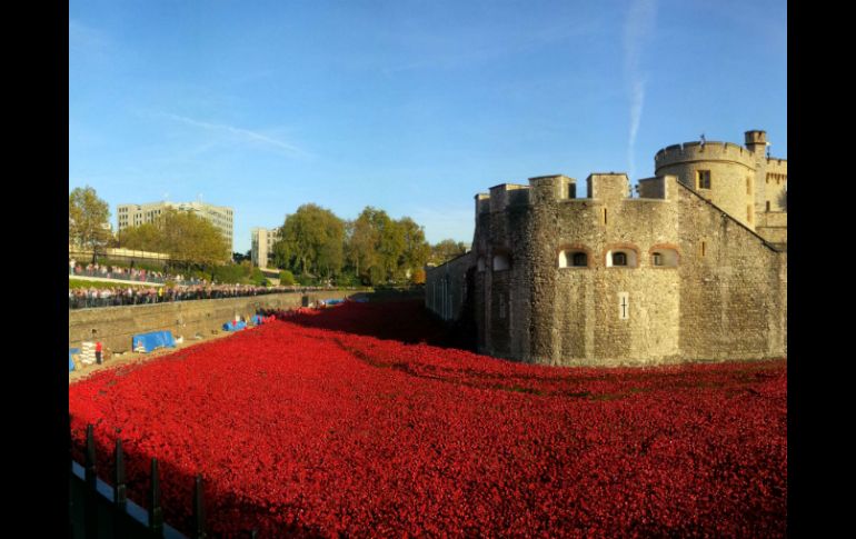 'La sangre arrasó tierras y mares', es el título de la obra del artista Paul Cummins. AFP / L. Neal