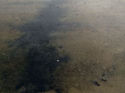 Por otro lado, la Conabio no ha planteado realizar un inventario sobre la biodiversidad perdida o en riesgo por el derrame de sulfato. NTX / ARCHIVO