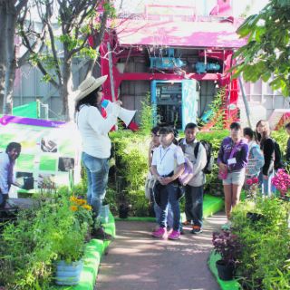 Emprenden negocio a través de huertos familiares