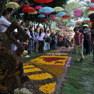 Admiran el monumental tapete de Patamban en Michoacán