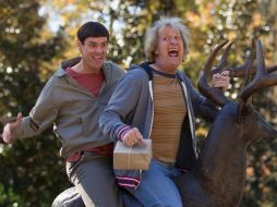 Jim Carrey y Jeff Daniels retoman sus papeles como dos amigos con pocas luces obligados a superar obstáculos cómicos. ESPECIAL / dumbanddumbertointl.com