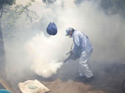 Sólo en Tapachula debido a su vecindad fronteriza con Guatemala se despliegan 278 personas en actividades de fumigación. AP / ARCHIVO