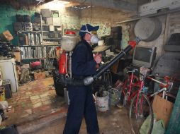 Las medidas para prevenir el mosco trasmisor deberán endurecerse. EL INFORMADOR / ARCHIVO