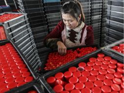 China Labour Watch informa que los trabajadores de la industria no tienen una manera institucional para quejarse. AFP /