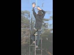 Un total de 140 centímetros cuadrados del adhesivo sostienen a una persona de 70 kilos para ascender por una pared vertical de cristal. ESPECIAL / news.sciencemag.org