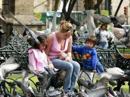 El programa 'Apoyo a mujeres jefas de familia' del Gobierno del Estado tiene, según datos de la Sedis, ocho mil 614 beneficiarias. EL INFORMADOR / ARCHIVO