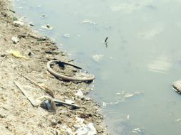 El agua, el saneamiento y la higiene son requisitos previos fundamentales para detener brotes de enfermedades. EL INFORMADOR / ARCHIVO