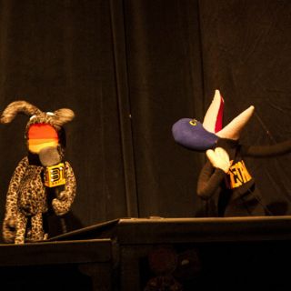 Radio Guaripolo llega al Diana