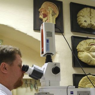 Neuróloga insta a prevenir daño cerebral adquirido
