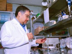 El titular de la CIBO, José Sánchez Corona, recomienda moderarse en la ingesta de comida y combatir el sedentarismo. EL INFORMADOR / ARCHIVO