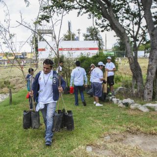 Plantan en escuelas los primeros 732 árboles por obras de Línea 3