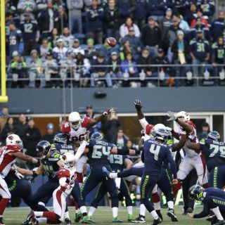 Halcones Marinos derriban a los Cardenales