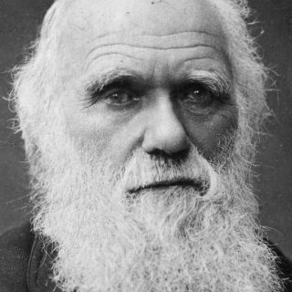 Manuscritos originales de Darwin, disponibles a través de Internet