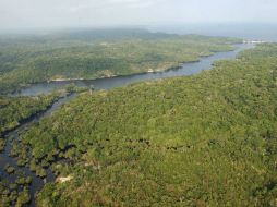 'La sequía puede ya ser el resultado de la destrucción de la Amazonía' afirma investigador del INPE. EFE / ARCHIVO