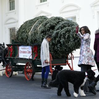 Árbol de Navidad llega a la Casa Blanca