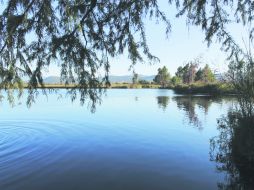 El espejo de agua, una visión digna de un paraíso, que se disfruta en la zona. EL INFORMADOR / V. García