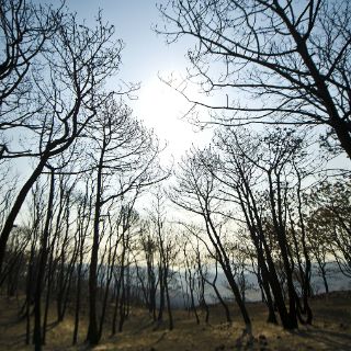 Clausura Profepa obras en Zapopan por carecer de permisos ambientales