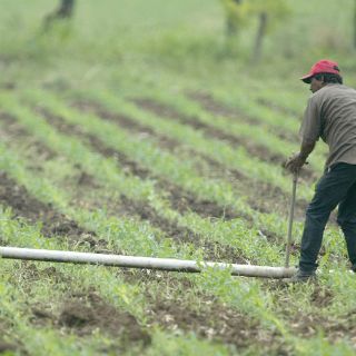 Honestidad, la base para rescatar agro