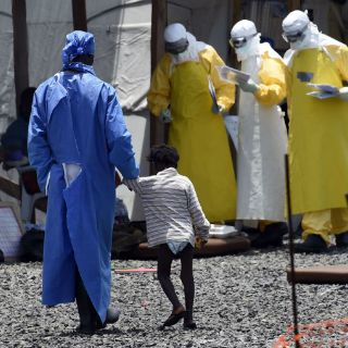 Guinea y Liberia alcanzan objetivos anti ébola: OMS