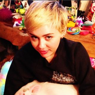 Miley Cyrus podría estar embarazada