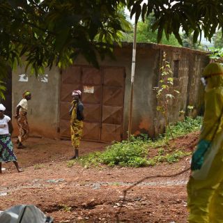 Prevén que países afectados por ébola caigan en recesión en 2015