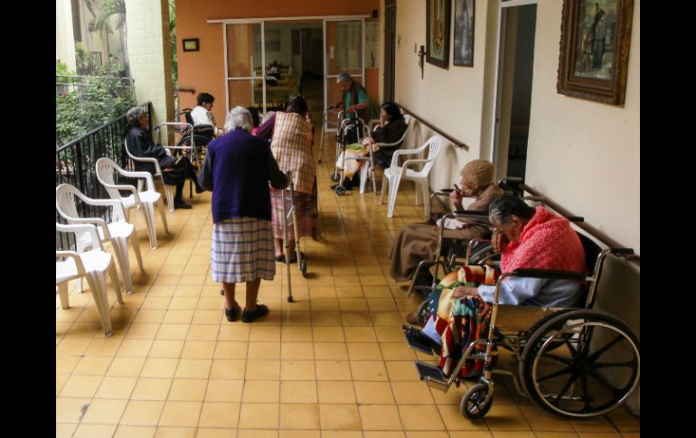 Buscarán resultados significativos en la calidad de vida y desarrollo de adultos mayores. EL INFORMADOR / ARCHIVO