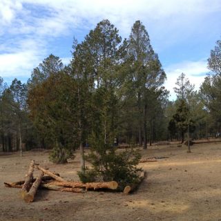Servidores públicos de Jalisco reciben capacitación ambiental