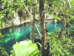 La naturaleza ofrece una visión de otro mundo en cada uno de los dos mil 500 cenotes que existen en el Estado de Quintana Roo. NTX /