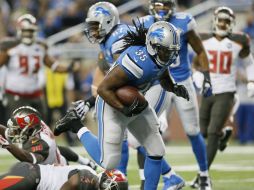 Los Leones son los favoritos en el partido ante Minnesota la próxima semana. AP / P. Sancya