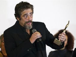 El actor de 47 años es una de las 'figuras más aclamadas de su generación' en Hispanoamérica. AFP / Y. Lage