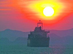 Manzanillo. La cotización peso-dólar apuntala las ventas externas siempre y cuando no sea tan persistente y duradera. EL INFORMADOR /