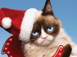 Recientemente debutó en Hollywood con la cinta 'Grumpy Cat's Worst Christmas Ever'. TWITTER / @RealGrumpyCat