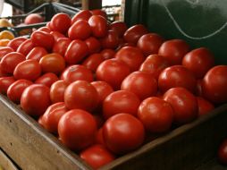 Algunos productos agropecuarios como el jitomate subieron su precio. EL INFORMADOR / ARCHIVO