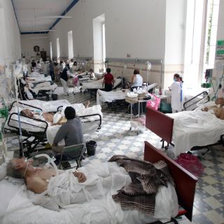 Establecen criterios para atención de enfermos en fase terminal