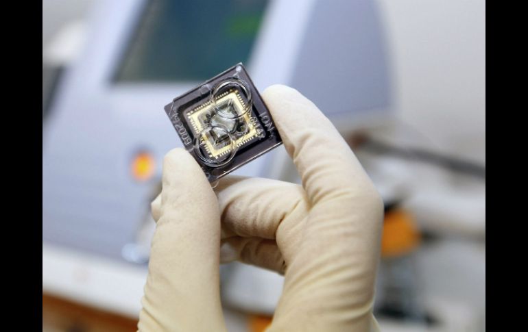 Los cambios en el gen APOA5 están asociados a cambiar los niveles de grasa en la sangre y es transmitido de padres a hijos. EFE / ARCHIVO