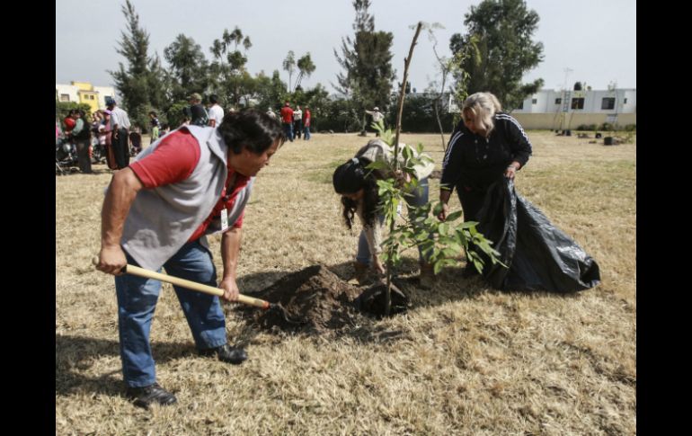 Este jueves iniciaron con la reforestación de en Tlaquepaque por las obras de la Línea 3. EL INFORMADOR / F. Atilano