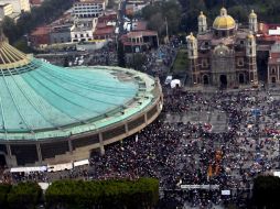 También se ofreció orientación e información de rutas, localización de personas y entrega de frutas. SUN / F. Ramírez